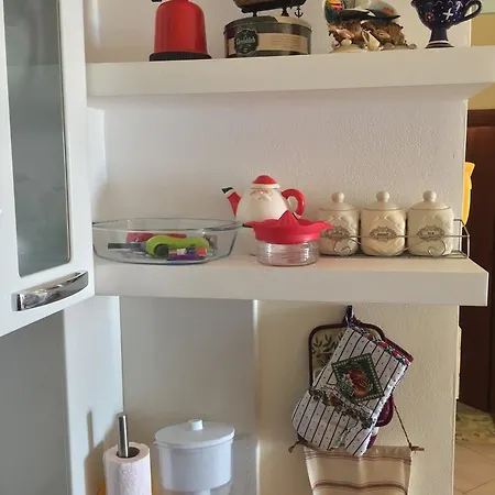 Amphora * فلورا